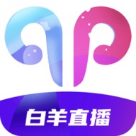 9.1极速版下载