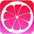 米加小镇世界披萨店和捏脸模式_logo